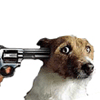 1746065334494.gif