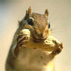1746850502670.gif