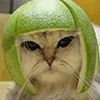 1750695038369.gif