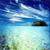 1759923145032.gif