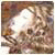 1750354760576.gif
