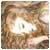 1750453077865.gif