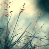 1750496936231.gif