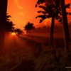 1750580705520.gif